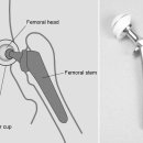 나온동물병원 이미지