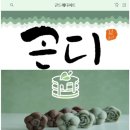 곤디 이미지