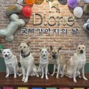 잠시 숨 고르기 해요^^ 이미지