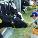 와우목장 이미지