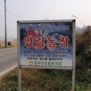 양림농장(2) 이미지