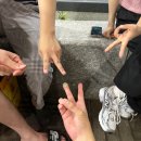 한국전력기술(주) | 한국전력기술 인턴 일기 (12주차)