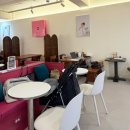 꼬마강아지 | [신림] 강아지 애견동반 카페 추천, 꼬마다방 카페 커피/케이크 후기