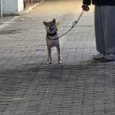 이스트세탁소 | 엽떡(그니까 제목 어케 짓냐고;;)(12.07-12.10)