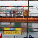 돌고래 좌대낚시터 이미지