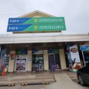 강화인삼센타 - 11501 | 강화인삼센타