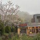 삐꼴라상점 | 제주 애월 와인샵 삐꼴라상점 내추럴와인 추천