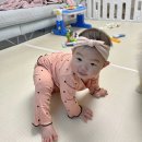 미미토 이미지