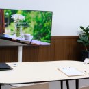 케렌시아 솔 이미지