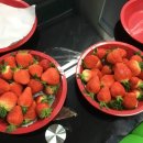 오션모터스 이미지