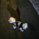 에잇컨셉일산 | 25년 12월 넷째주 직장인일기 행복해 이번주만 같아라
