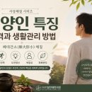 태양인 특징, 성격과 생활관리 방법 총정리