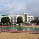 대구종로초등학교 Daum카페