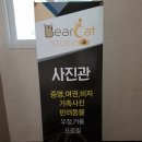 자란초등학교 | 평택 사진관 베어캣 스튜디오 인생샷 건지다~