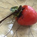 석불초등학교 이미지