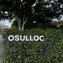 이니스프리 | 제주 오설록 티뮤지엄, 이니스프리 방문후기 (Ft. 말차 소프트아이스크림)