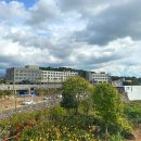 록스테이 이미지