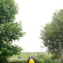 논짓물비치하우스 이미지