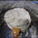 대성야채 이미지