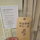 나영상회 이미지