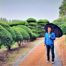 이화동산 이미지