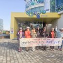 삼남길9길, "조선 수군의 비극… 원균장군 묘역 가는 길이 송탄신도시에 파묻혔다!" 진위고을길 251118 이미지