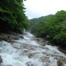 호박소가는길 이미지