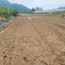 포우농장 이미지