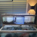 마진마을회관 | [서울 광진구 건대입구] 안주 맛&amp;가격 깡패 술집 &#39;새마을회관 건대점&#39; 내돈내산 솔직후기