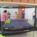 탁구교실 초급 이미지