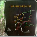 앞산자락길 티스토리