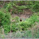 나라어린이집 이미지