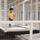 칼라스챔피언시흥은계점