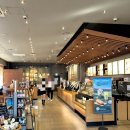 월촌역 | 스타벅스 대구 월촌역점 방문 후기/블루베리 마블 치즈 케이크/브루드 커피