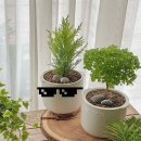 열매세탁소 | 40대 육휴중.. 아아 한잔 쫙 빨고싶을때. 베란다 식물원으로 한숨 돌렸어요