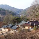 회덕2세천 티스토리