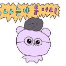 노티드 부산해운대 네이버블로그