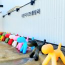 티엔다키즈풀빌라 이미지