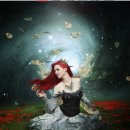 사진 기초에서 작품까지 이미지