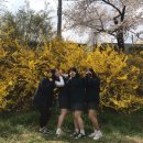 대흥하이퍼마켓 | 2024년 7월 1일