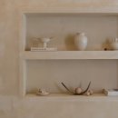 자작나무 스테이 이미지