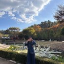 대가야역사테마관광지 | 경상도여행 고령 가볼만한곳 대가야역사테마관광지