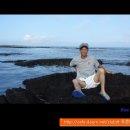 해조대 민박 이미지