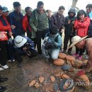 덕수리불미공예 이미지