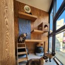 미래지동물의료센터 이미지