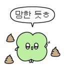 타코이야기 네이버블로그