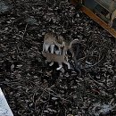 화양농공단지 | 여기가 왜 핫플인지 드디어 알았다!