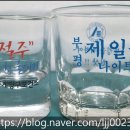 코리아중년나이트 이미지