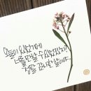 오늘은별 이미지