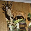 영웅주유소 | 여행기가 동났다.. 일상모드 on